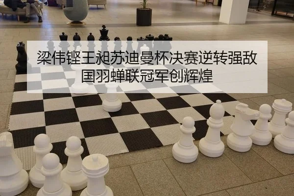 liang-wei-keng-wang-chang-su-di-man-bei-jue-sai-ni-zhuan-qiang-di-guo-yu-chan-lian-guan-jun-chuang-hui-huang-2-256.jpg