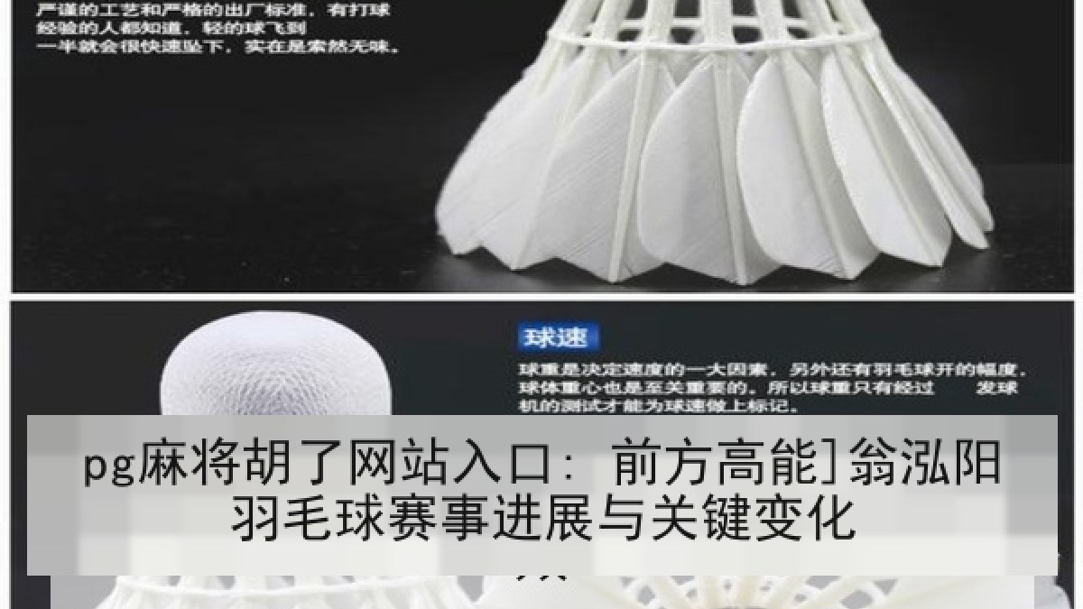 pg麻将胡了网站入口: 前方高能]翁泓阳羽毛球赛事进展与关键变化